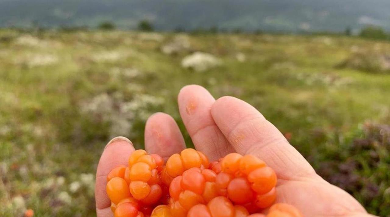 Hytte Naer Vannet, Jacuzzi Og Sauna Vrådal Eksteriør billede