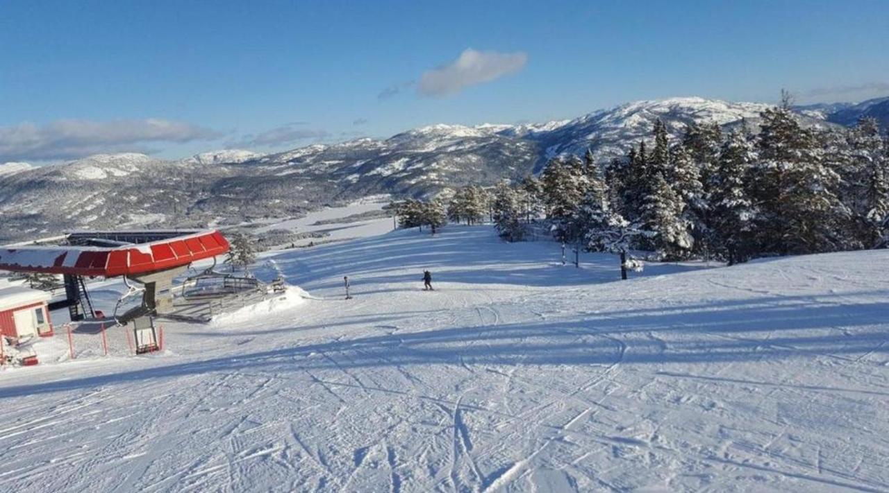 Hytte Naer Vannet, Jacuzzi Og Sauna Vrådal Eksteriør billede